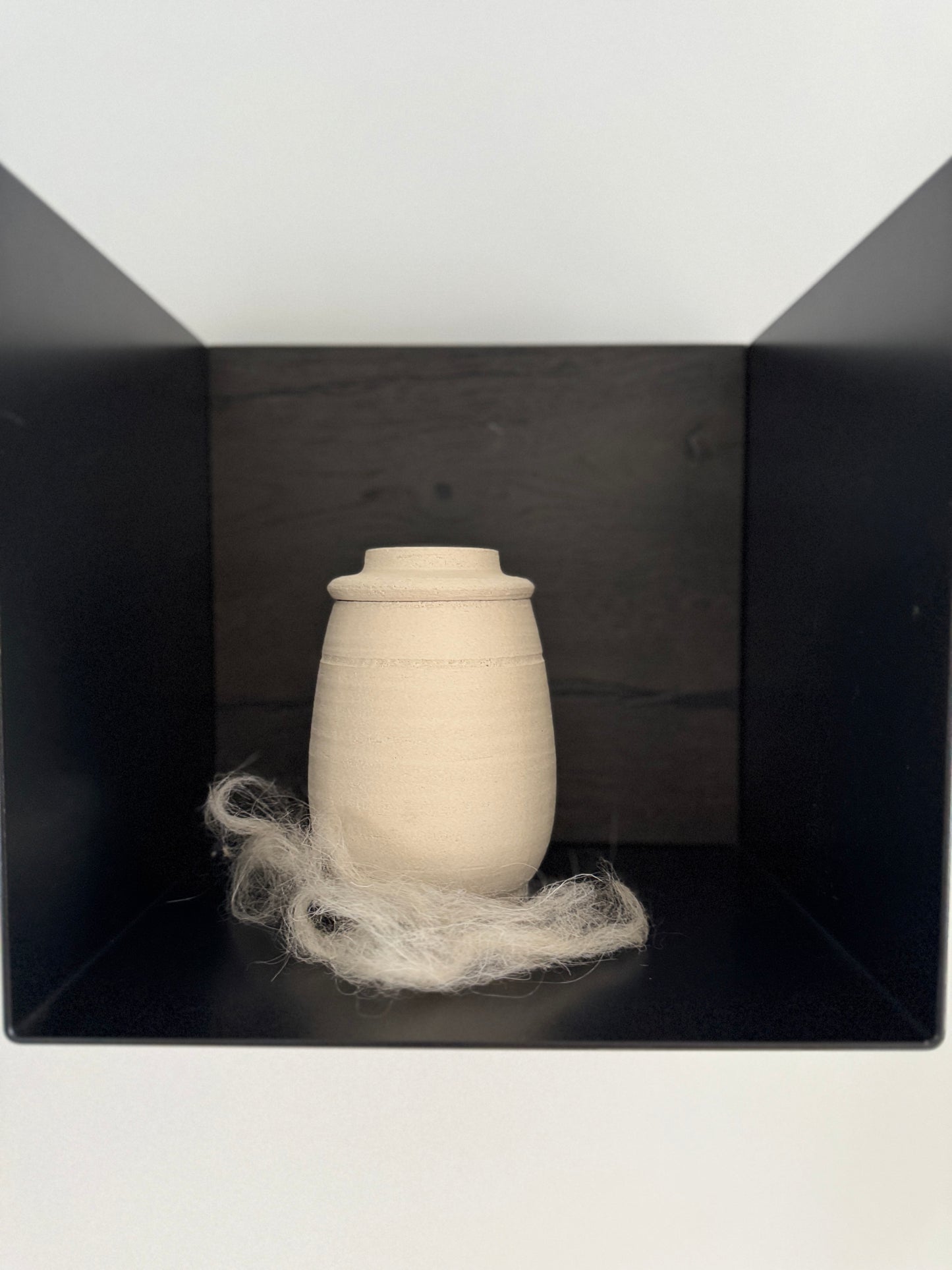 Urn voor huisdier