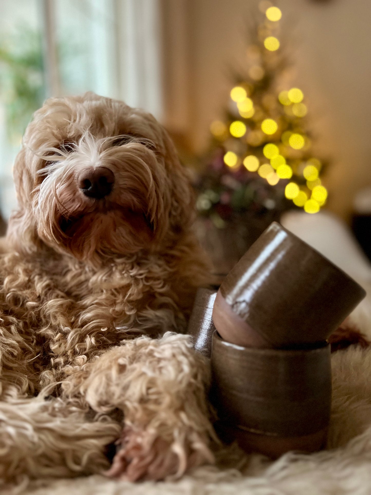 Jeanneke Donkerbruin